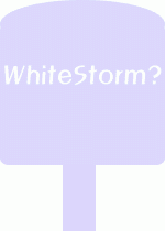WhiteStorm이 뭐지?