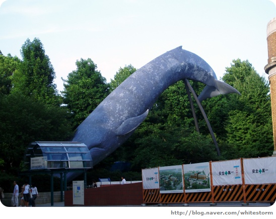 국립 과학 박물관의 고래